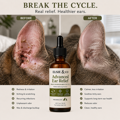 Break the Ear Infection Cycle with Elsie & Co™ Advanced Ear Relief